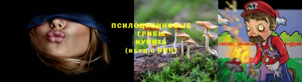 PSILOCYBIN Балабаново